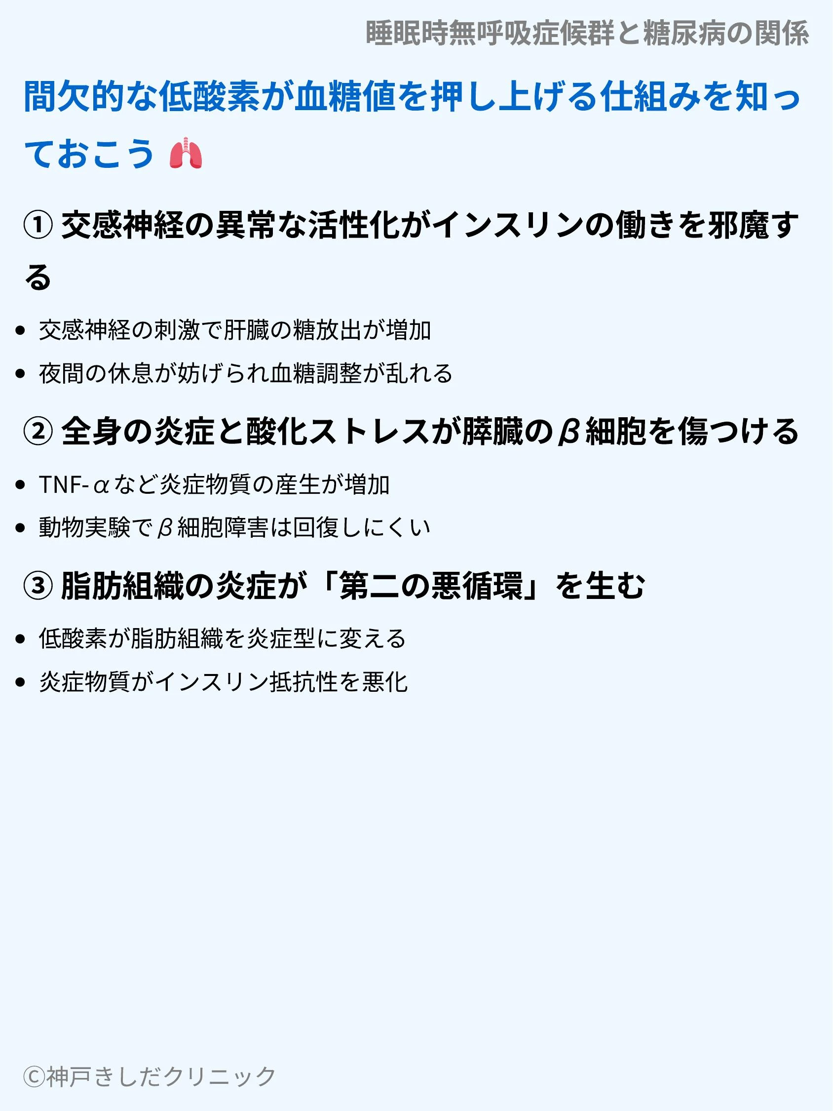 睡眠時無呼吸症候群と糖尿病の関係_04.webp