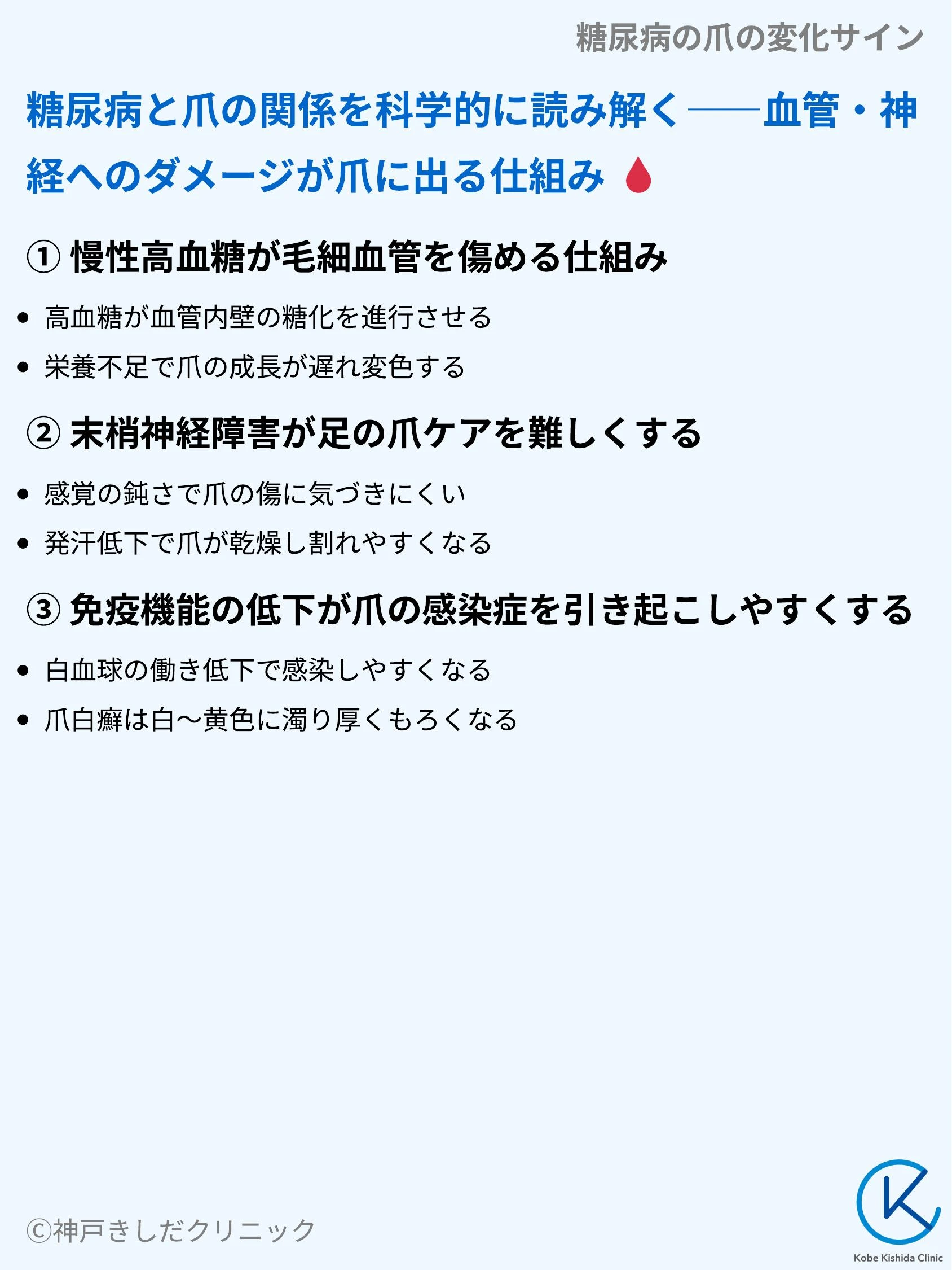 糖尿病の爪の変化サイン_04.webp