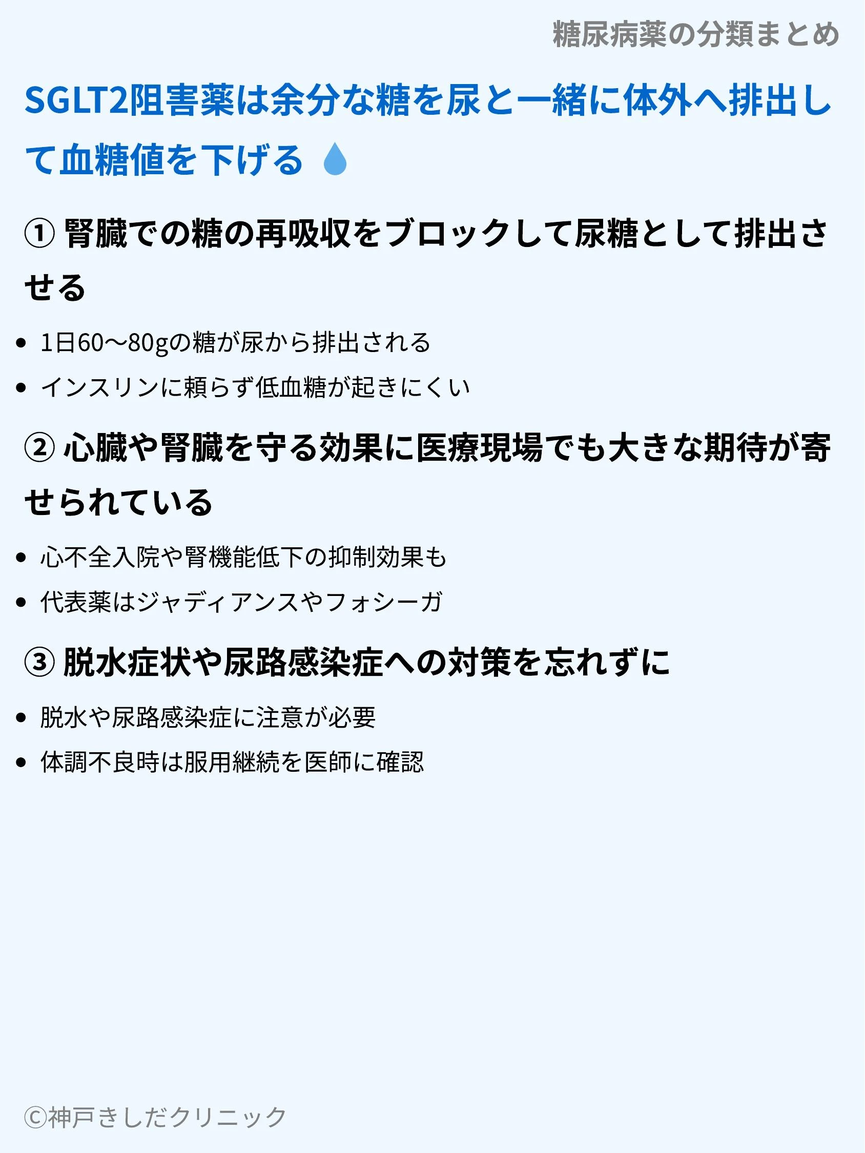 糖尿病薬の分類まとめ_08.webp
