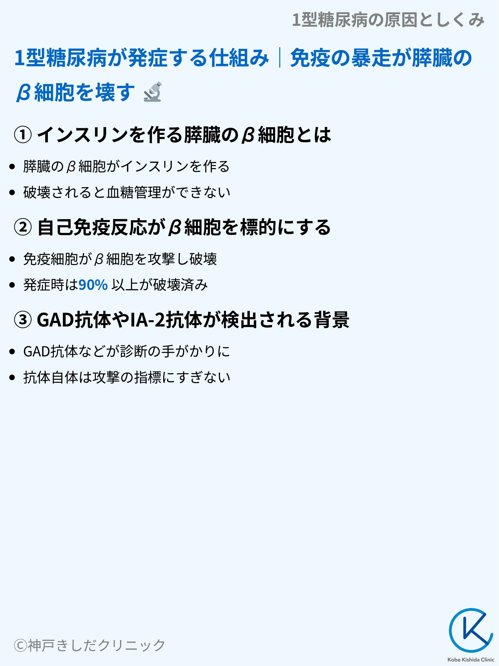 1型糖尿病の原因としくみ_04.webp