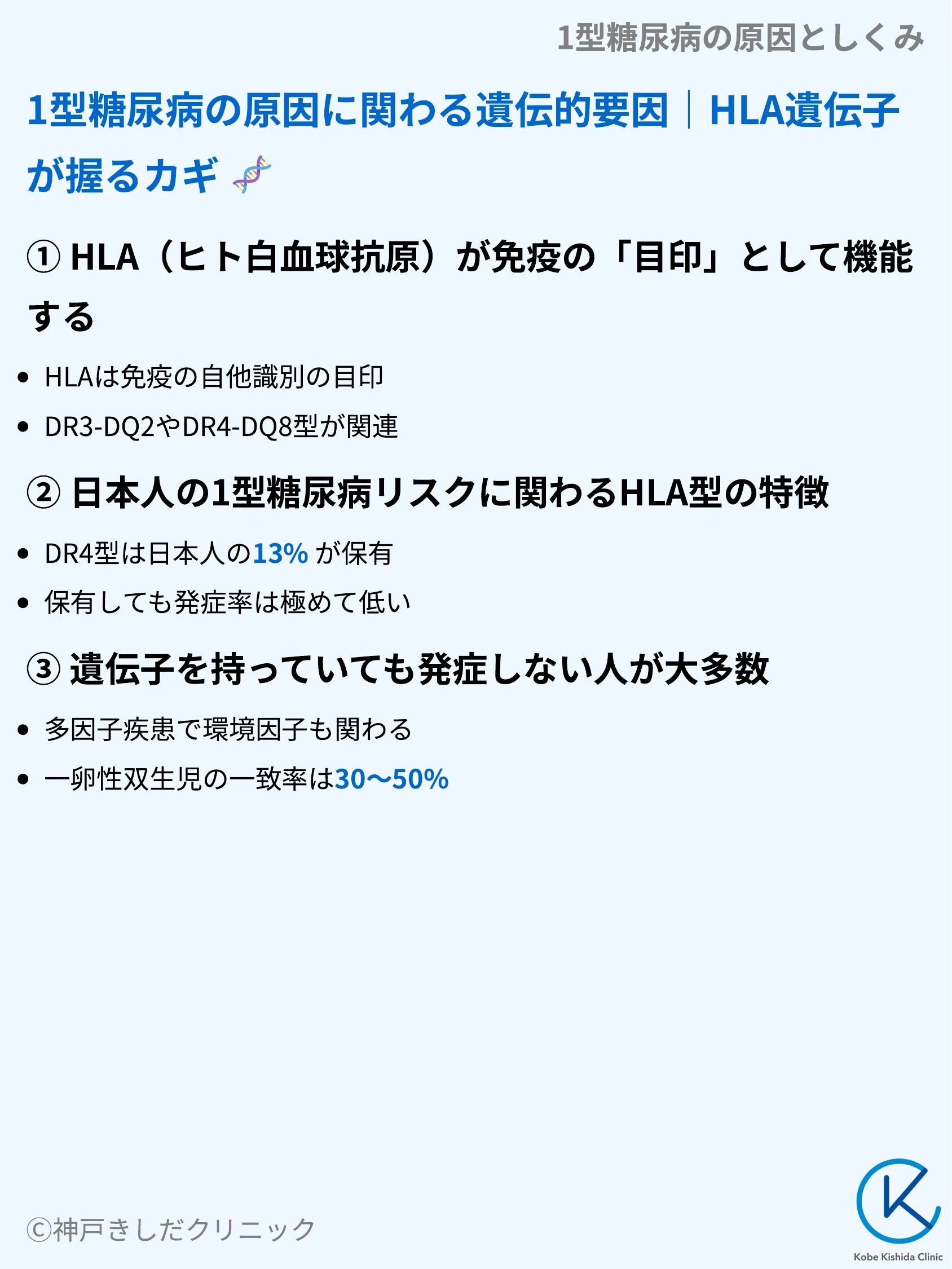 1型糖尿病の原因としくみ_05.webp
