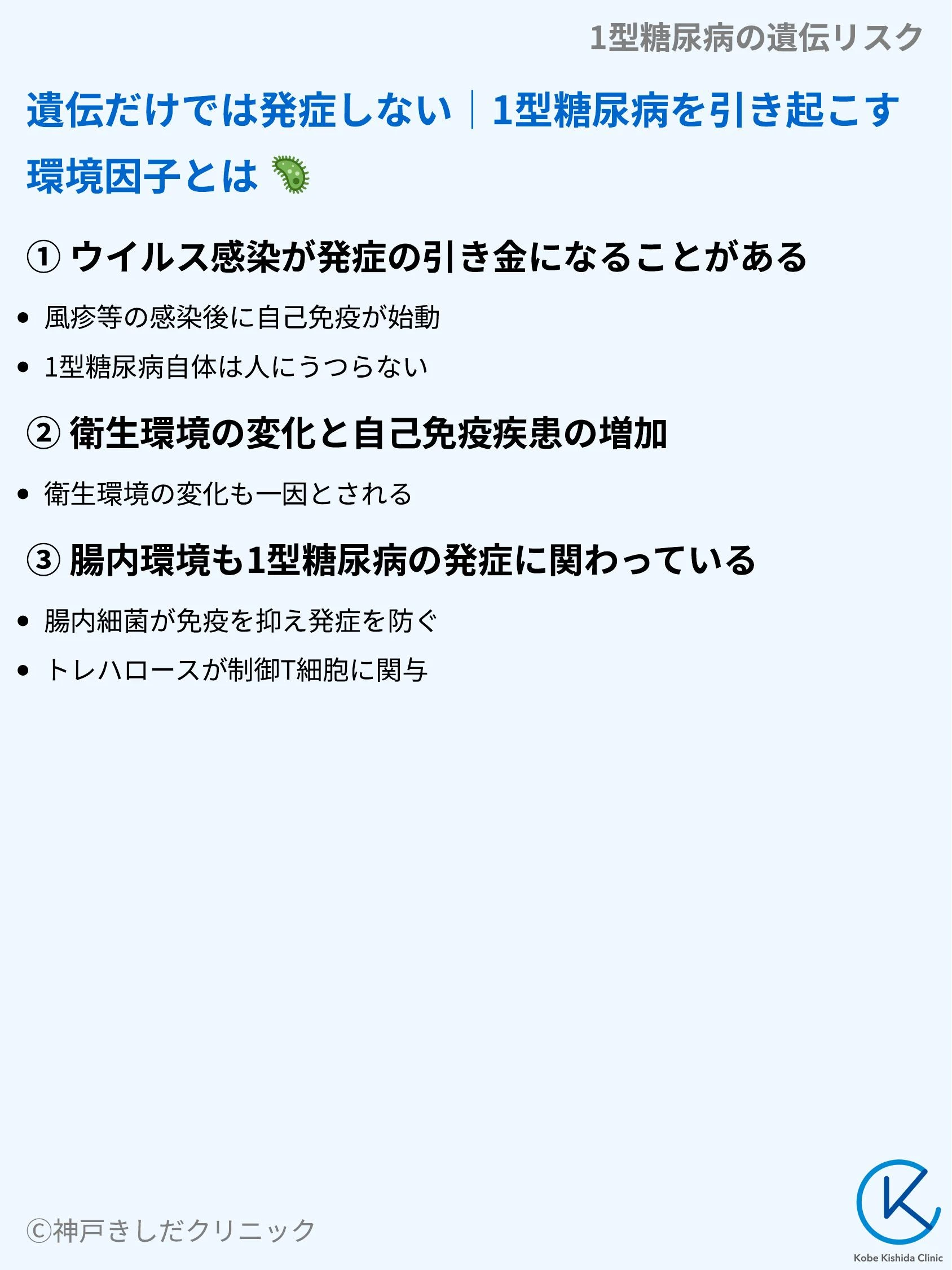1型糖尿病の遺伝リスク_07.webp