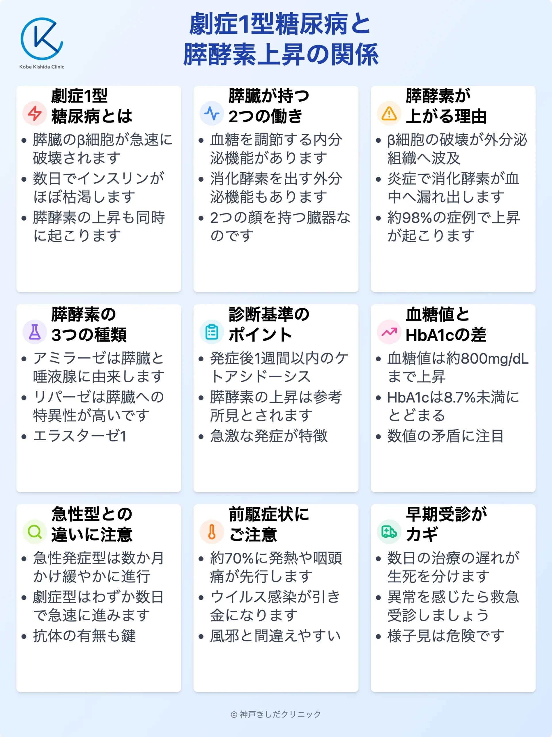 劇症1型糖尿病と膵酵素上昇_11.webp