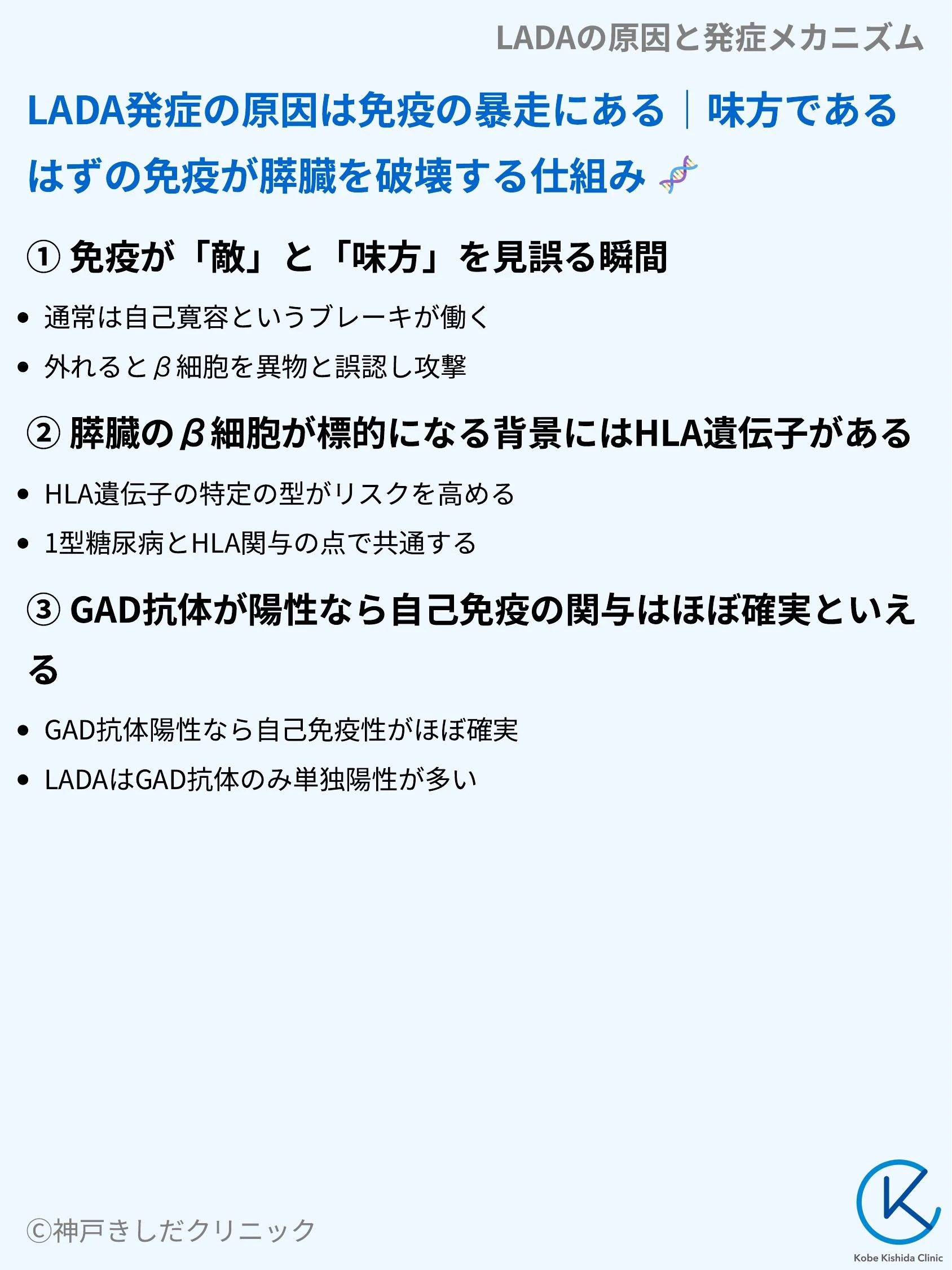 LADAの原因と発症メカニズム_04.webp