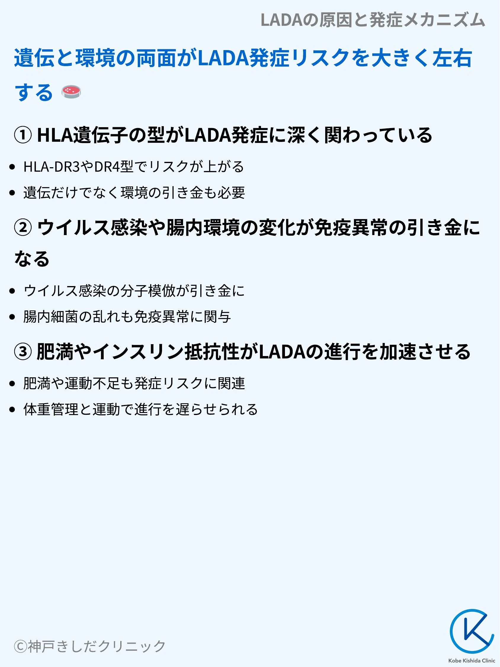 LADAの原因と発症メカニズム_07.webp