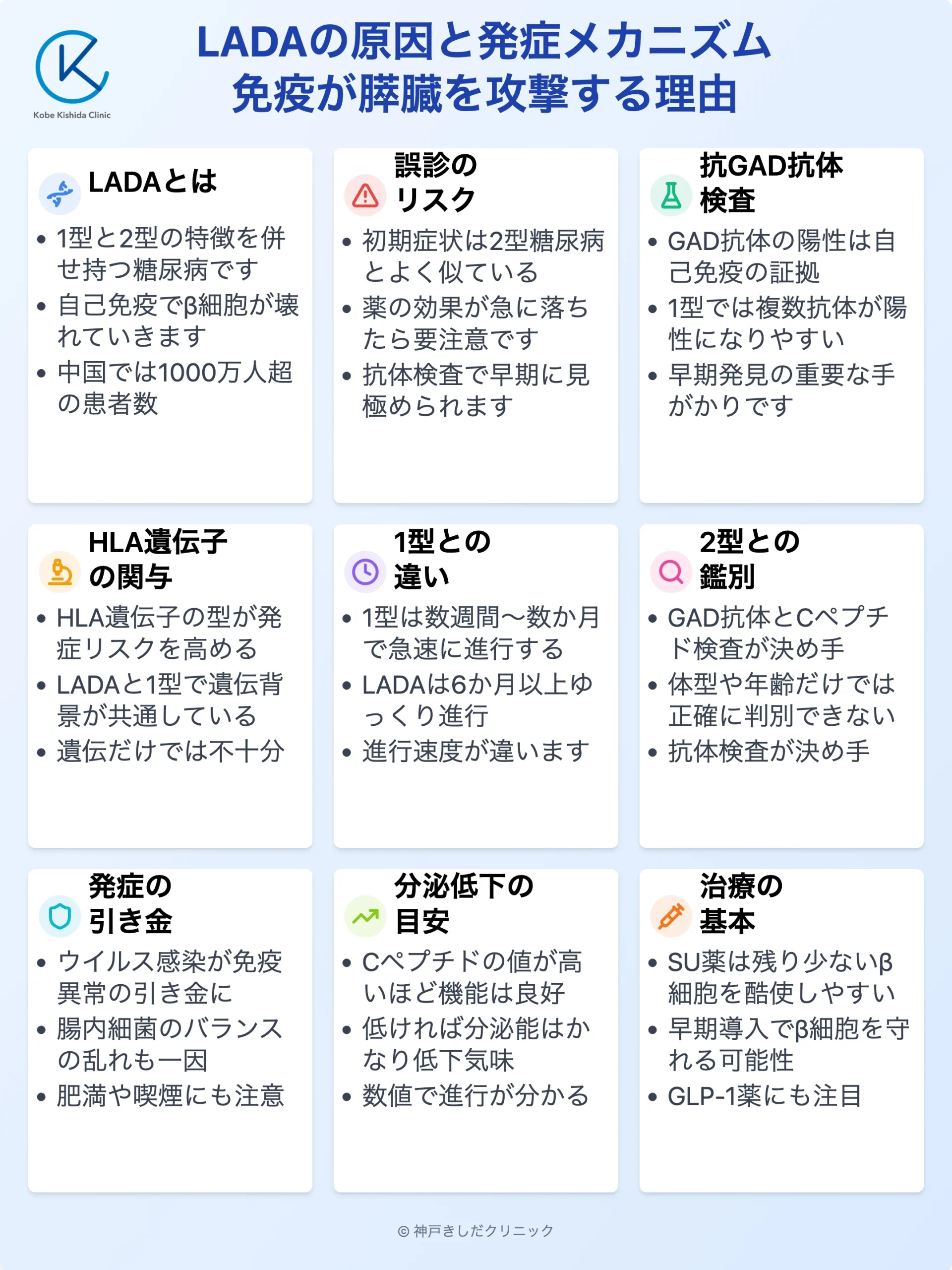 LADAの原因と発症メカニズム_12.webp