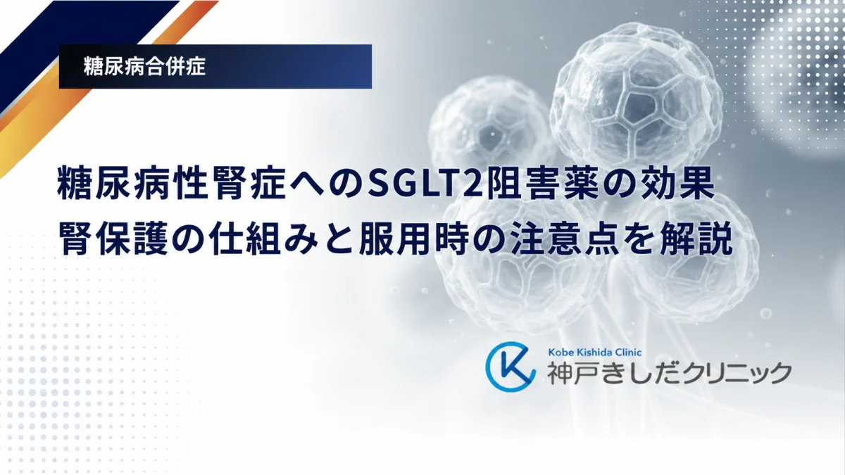 糖尿病性腎症へのSGLT2阻害薬の効果｜腎保護の仕組みと服用時の注意点を解説