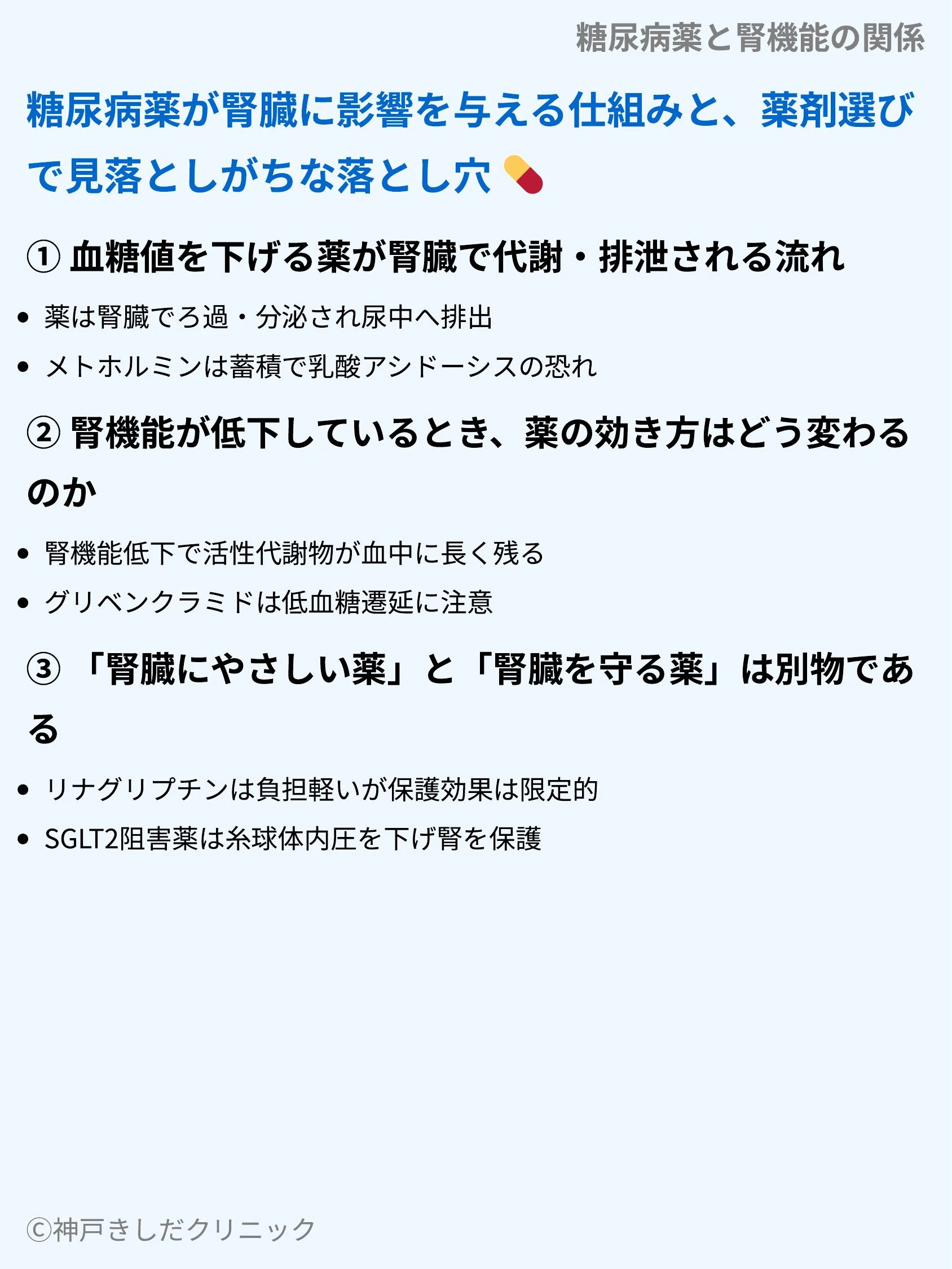 糖尿病薬と腎機能の関係_03.webp