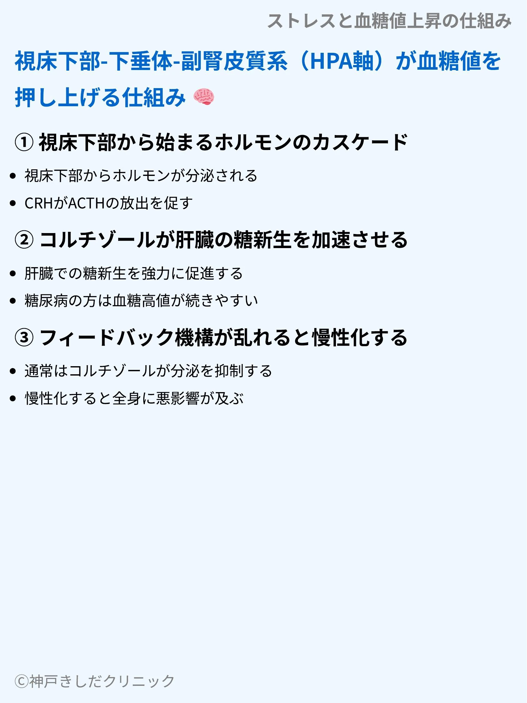 ストレスと血糖値上昇の仕組み_04.webp