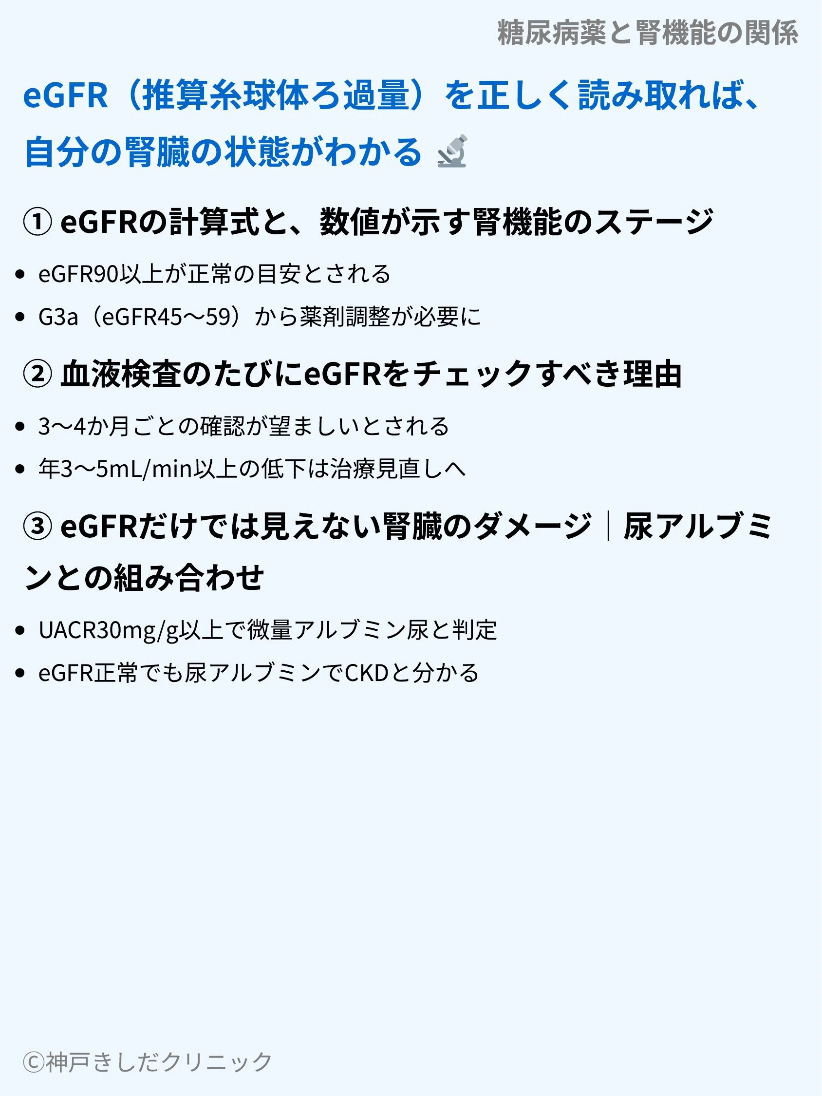 糖尿病薬と腎機能の関係_04.webp