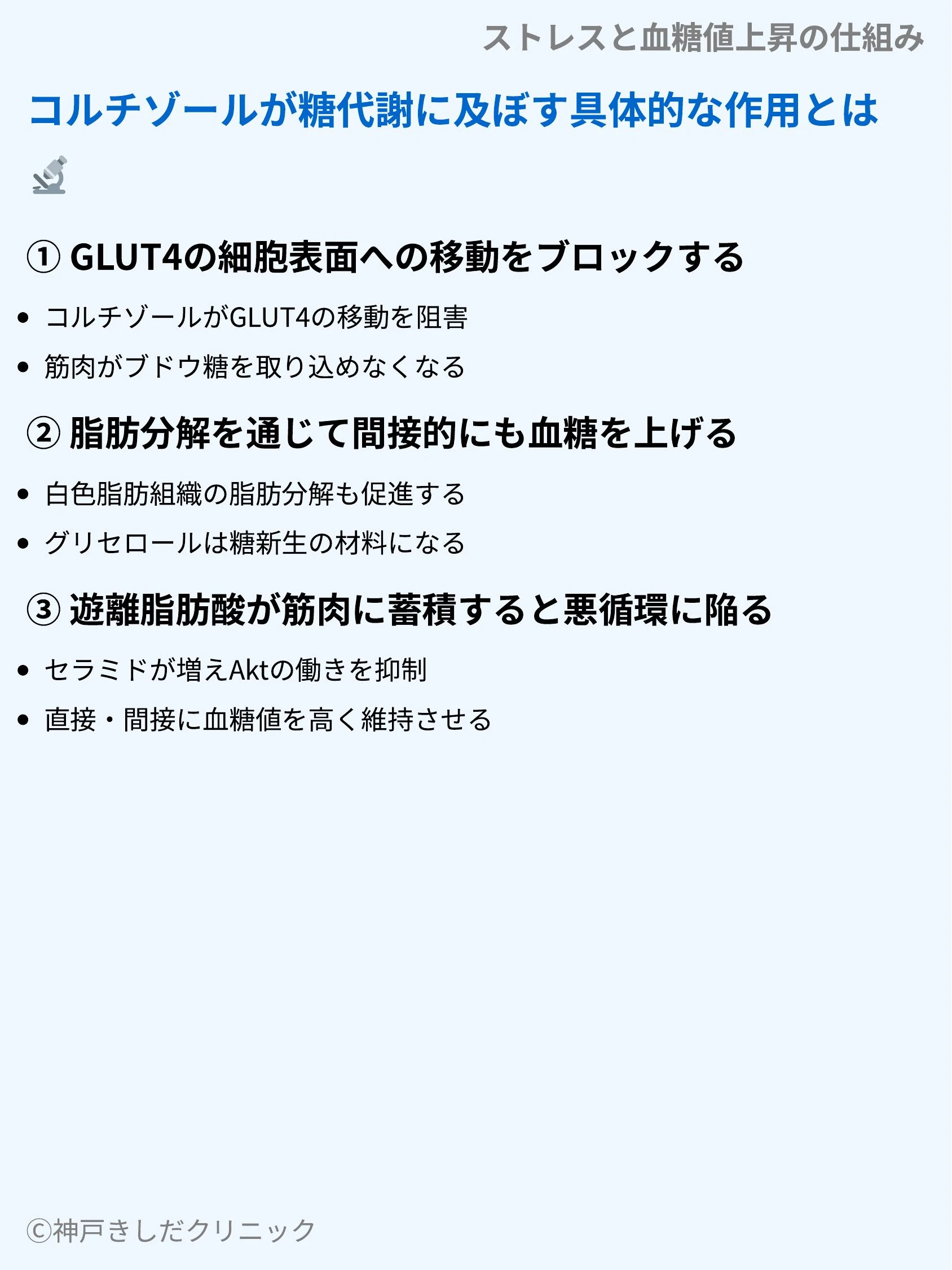 ストレスと血糖値上昇の仕組み_05.webp