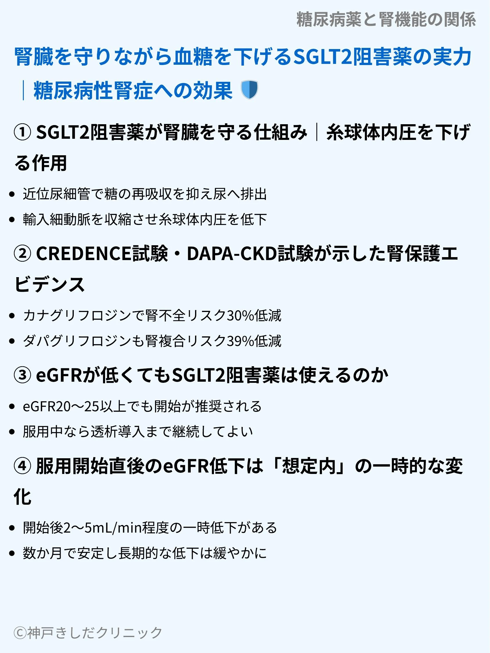 糖尿病薬と腎機能の関係_05.webp