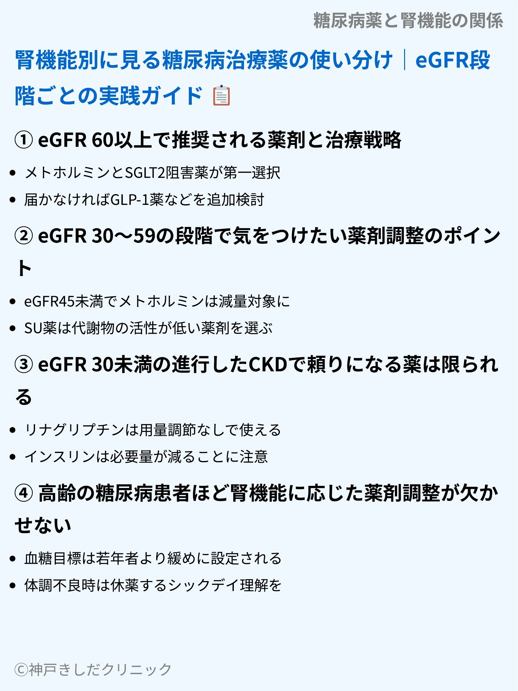 糖尿病薬と腎機能の関係_07.webp