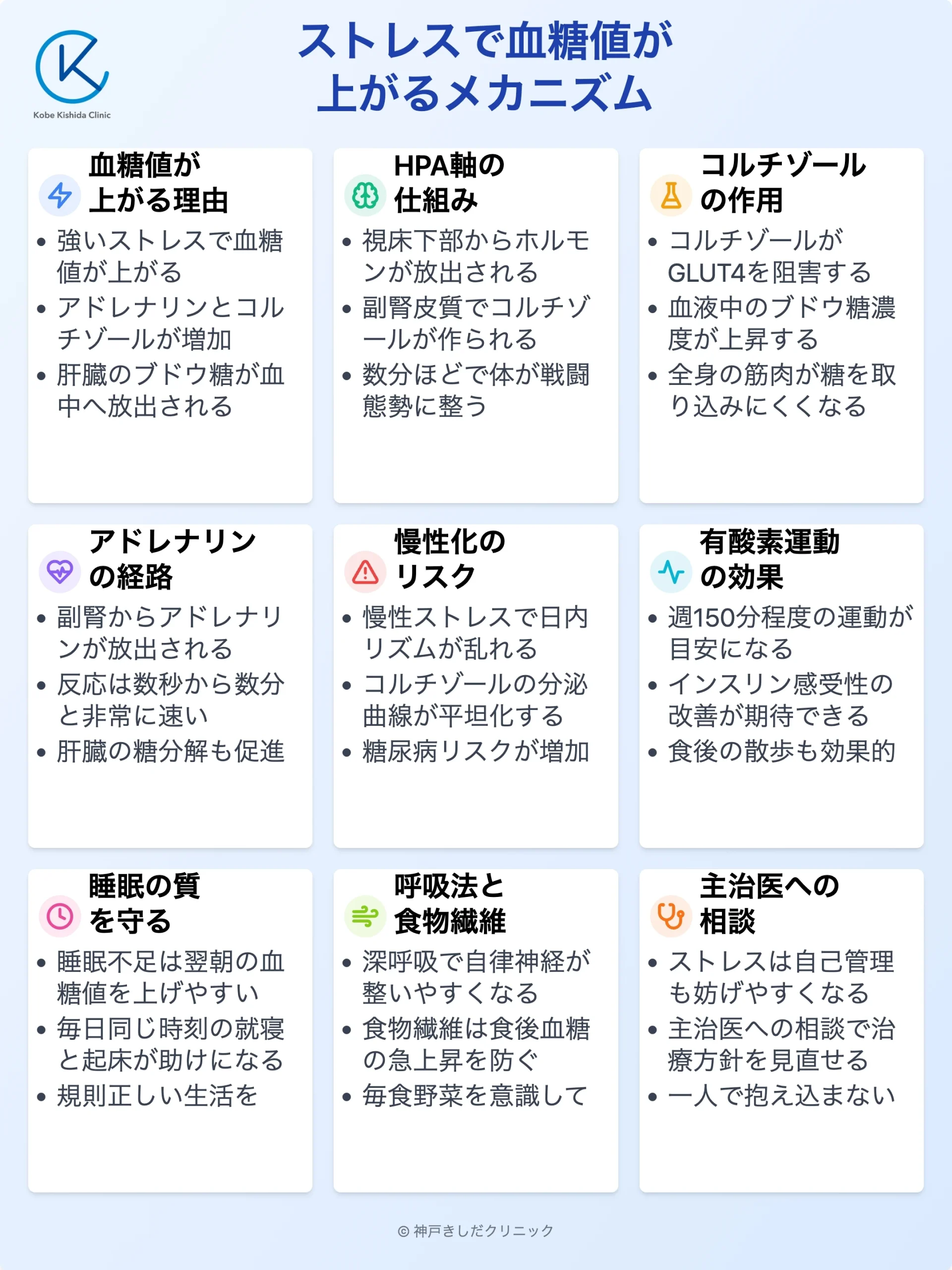 ストレスと血糖値上昇の仕組み_12.webp
