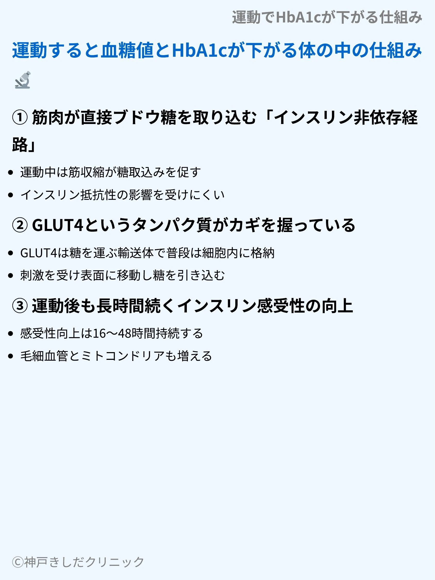 運動でHbA1cが下がる仕組み_05.webp