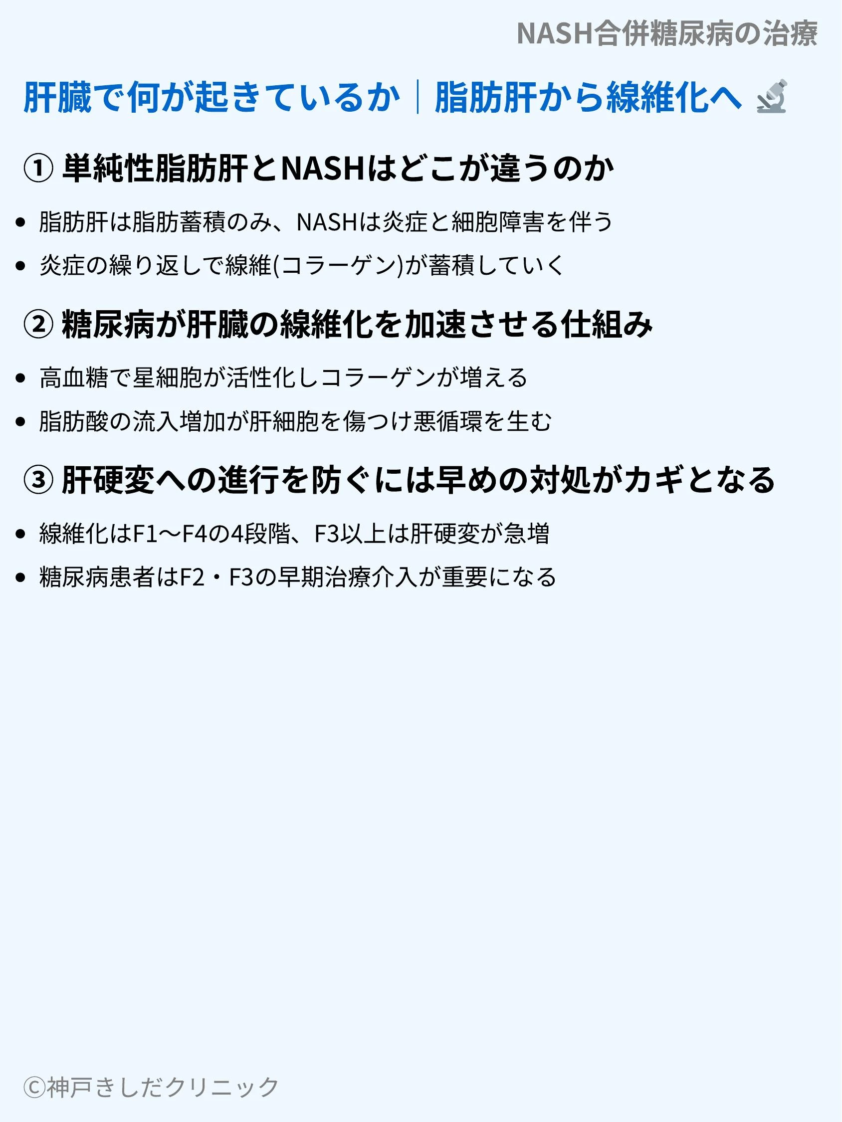 NASH合併糖尿病の治療_04.webp