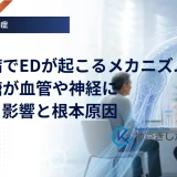 糖尿病でEDが起こるメカニズム｜高血糖が血管や神経に与える影響と根本原因