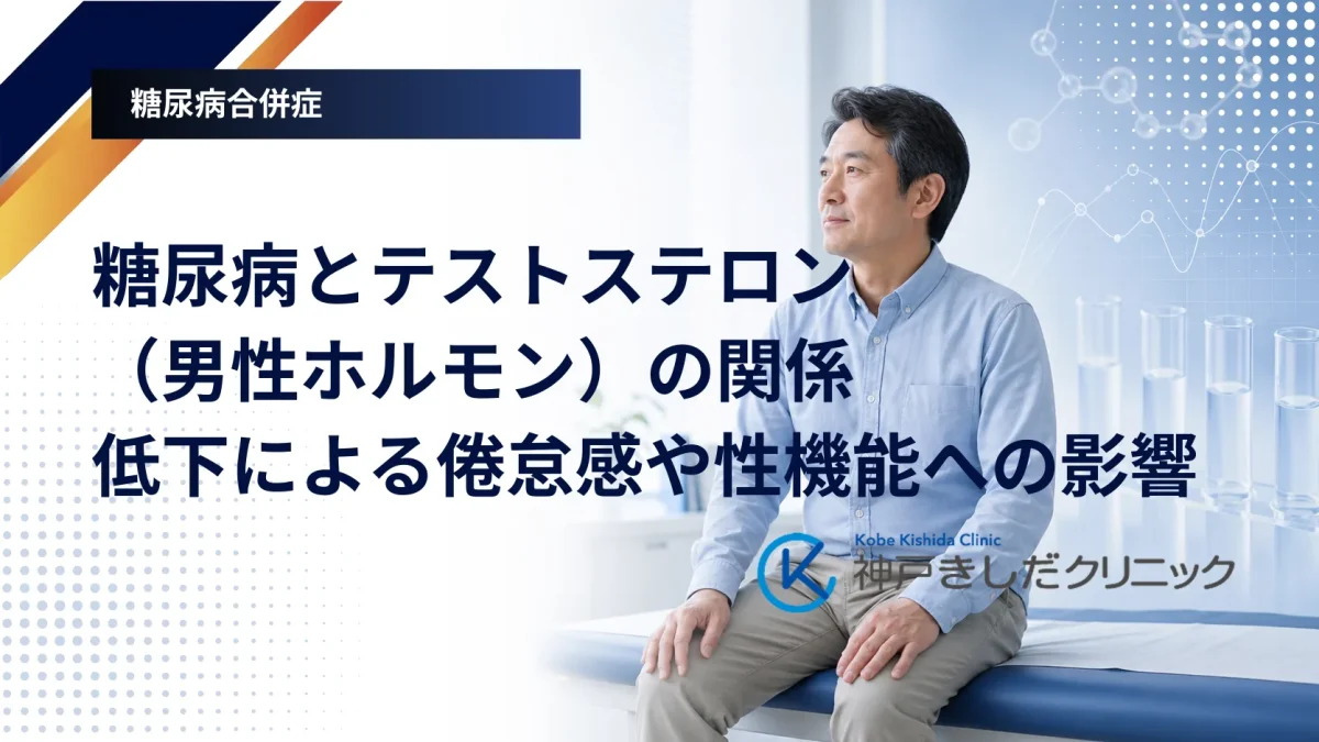 糖尿病と男性ホルモンであるテストステロンの関わりを表したイメージ画像