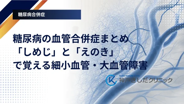 糖尿病の血管合併症まとめ｜「しめじ」と「えのき」で覚える細小血管・大血管障害