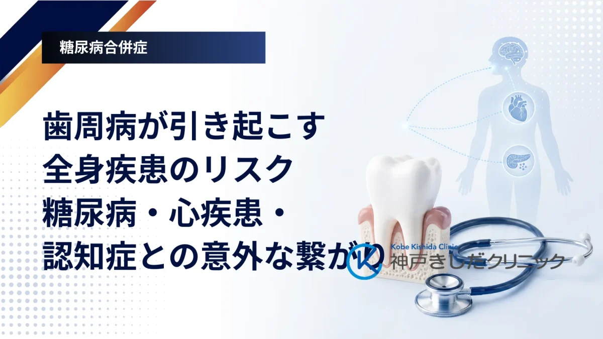 歯の模型と心臓や脳を示す医療イメージを並べ、歯周病と全身疾患のつながりを表した画像