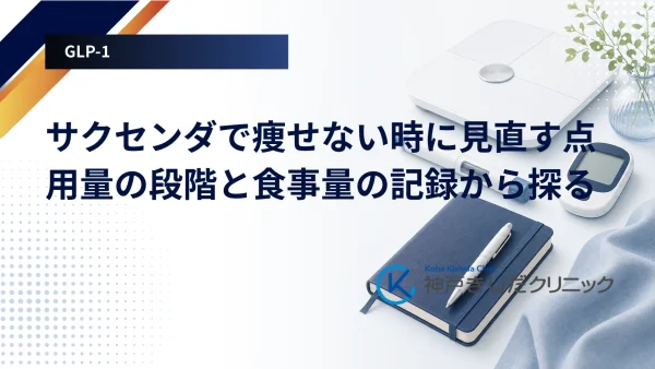 サクセンダで痩せない時に見直す点|用量の段階と食事量の記録から探る