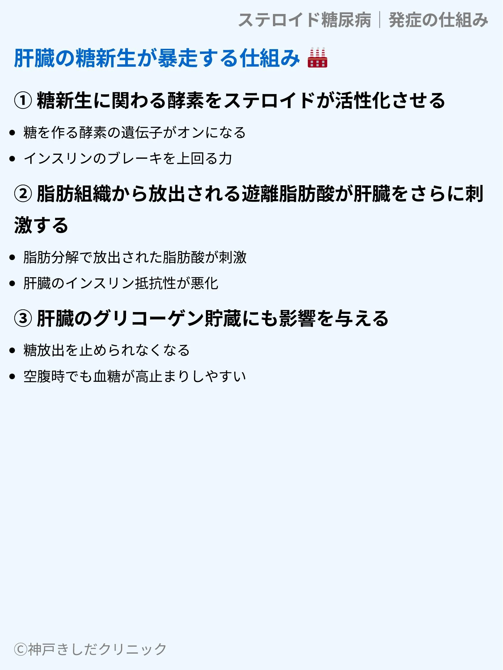 ステロイド糖尿病|発症の仕組み_04.webp
