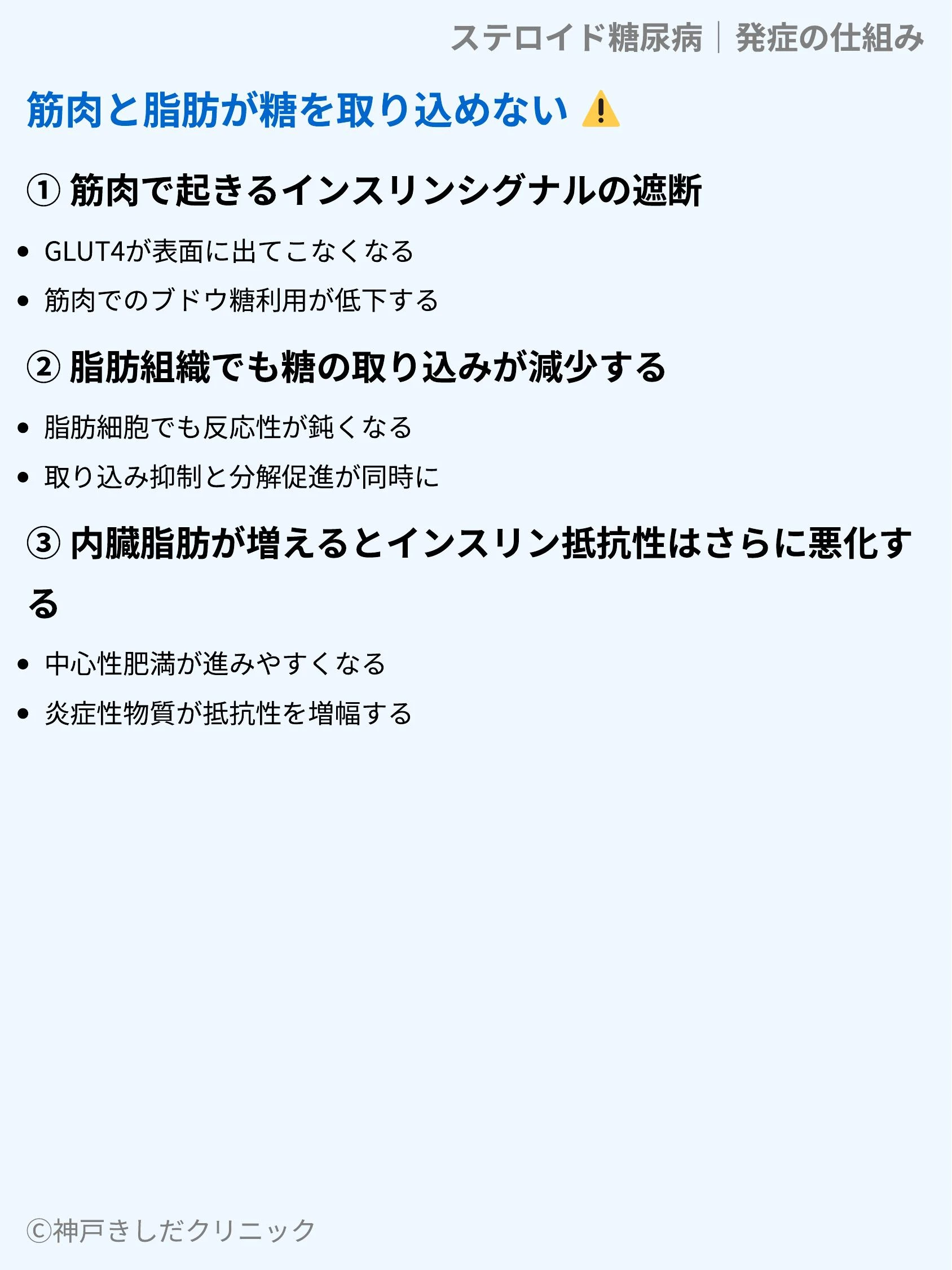 ステロイド糖尿病|発症の仕組み_05.webp