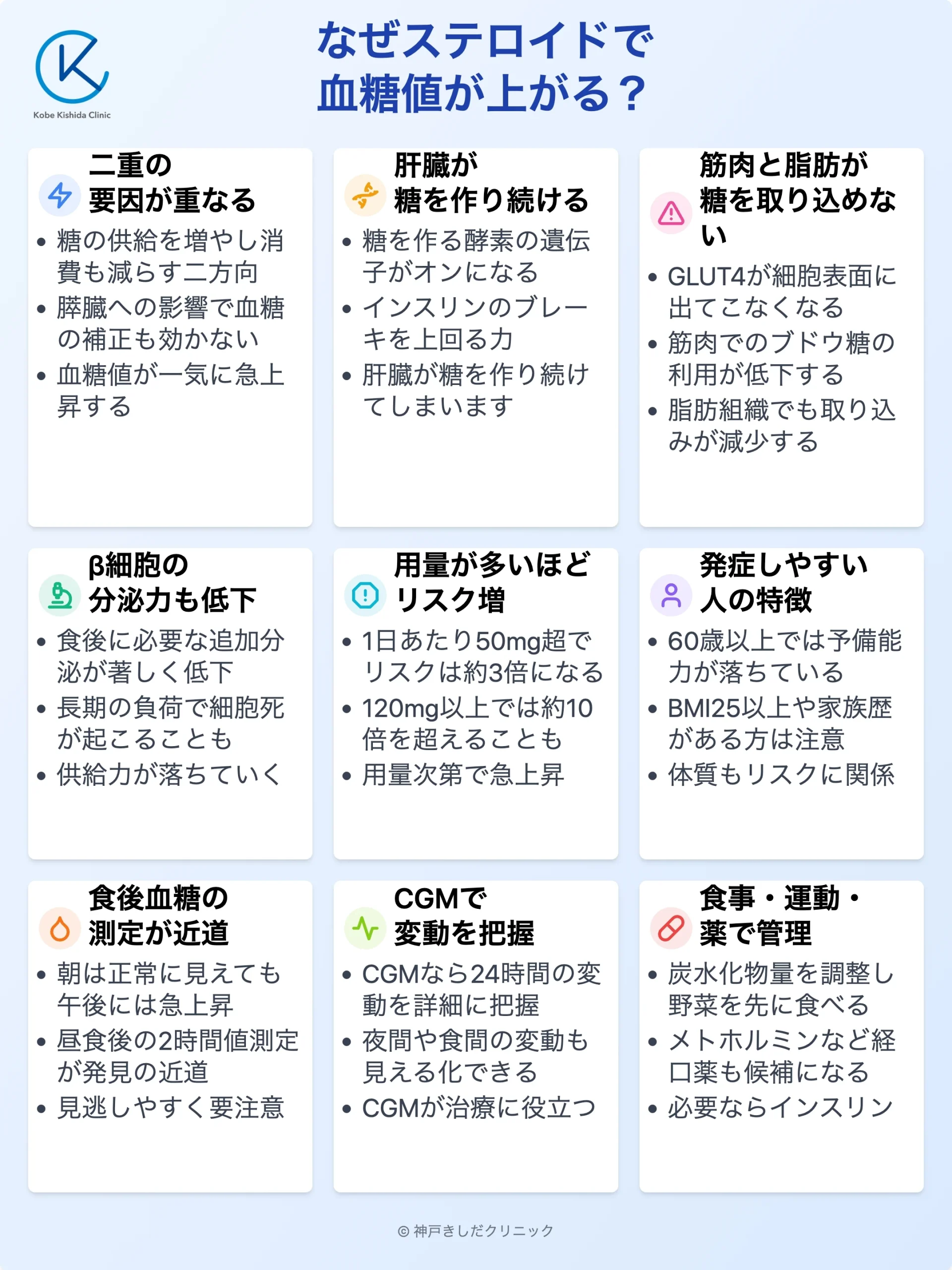 ステロイド糖尿病|発症の仕組み_12.webp