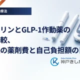 インスリンとGLP-1作動薬の費用比較、配合注の薬剤費と自己負担額の目安