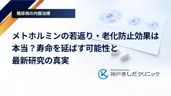 メトホルミンの若返り・老化防止効果は本当?寿命を延ばす可能性と最新研究の真実