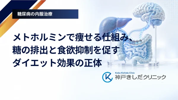 メトホルミンで痩せる仕組み、糖の排出と食欲抑制を促すダイエット効果の正体