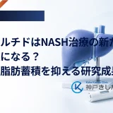 レタトルチドはNASH治療の新たな選択肢になる？肝臓の脂肪蓄積を抑える研究成果