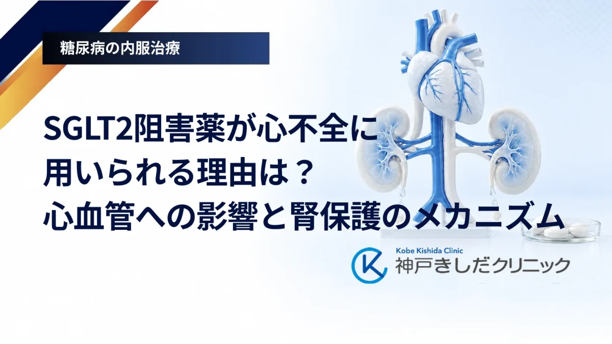 SGLT2阻害薬が心不全に用いられる理由は？心血管への影響と腎保護のメカニズム