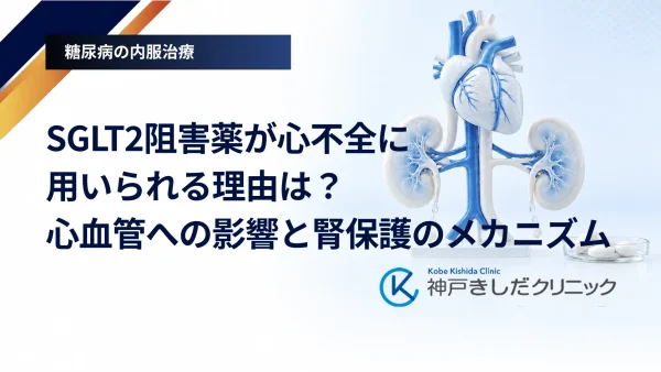 SGLT2阻害薬が心不全に用いられる理由は?心血管への影響と腎保護のメカニズム