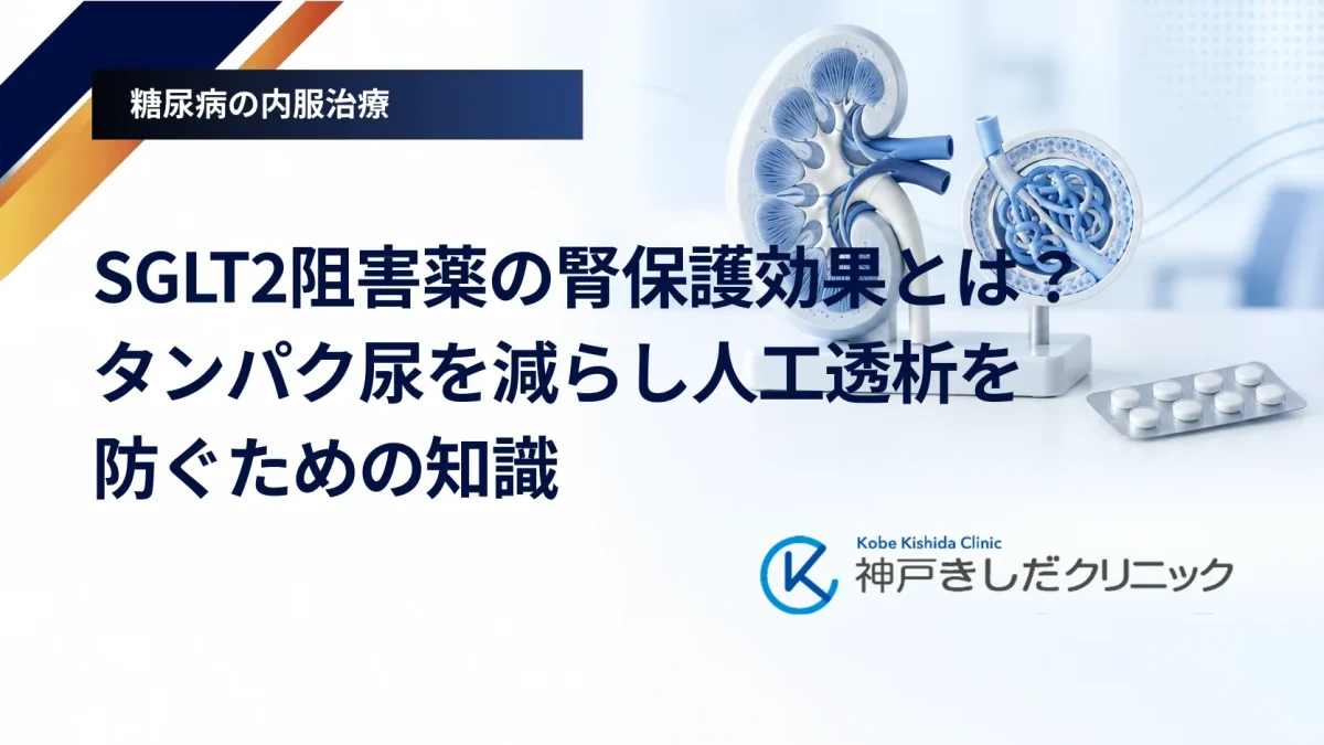SGLT2阻害薬の腎保護効果とは?タンパク尿を減らし人工透析を防ぐための知識