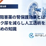 SGLT2阻害薬の腎保護効果とは？タンパク尿を減らし人工透析を防ぐための知識