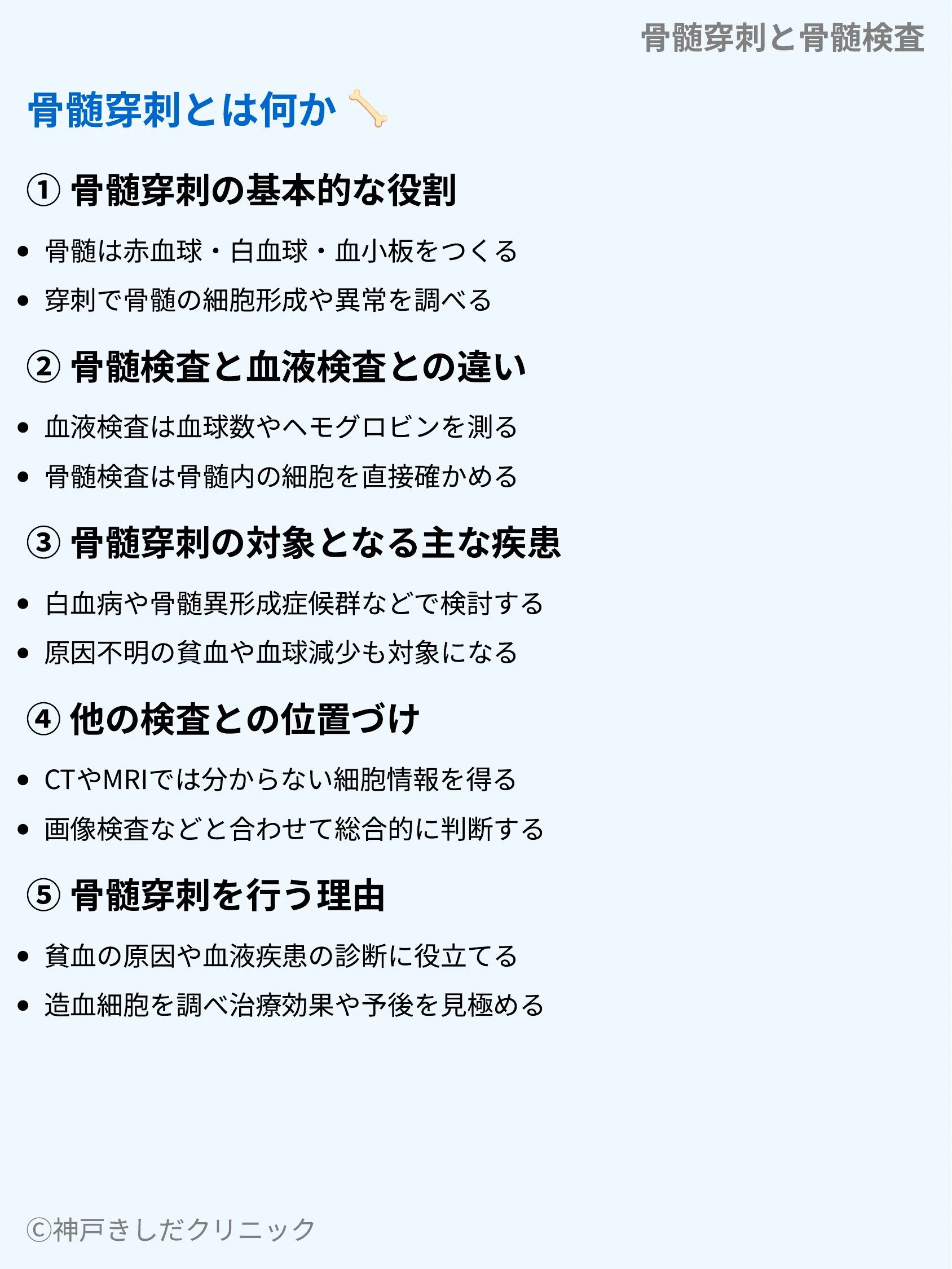 骨髄穿刺と骨髄検査_03.webp