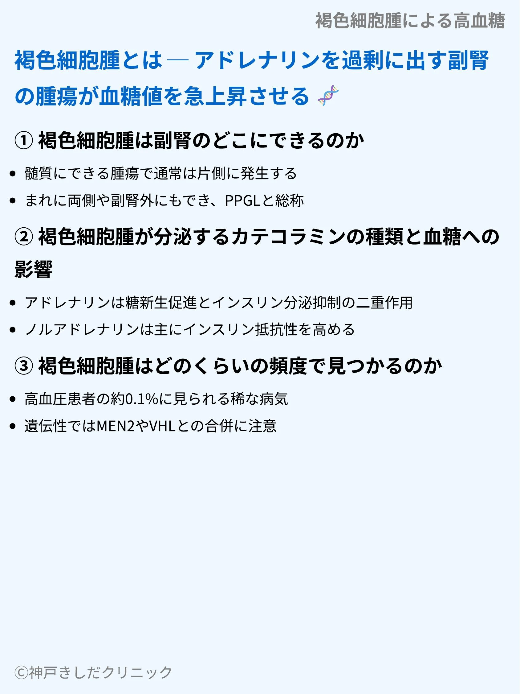 褐色細胞腫による高血糖_03.webp