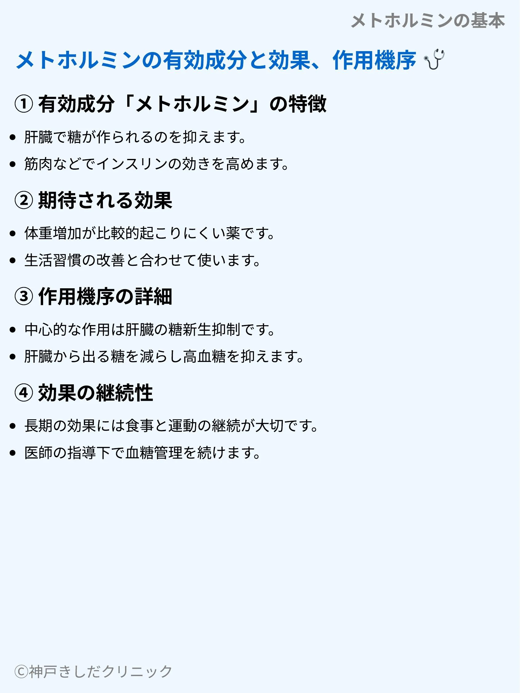 メトホルミンの基本_03.webp