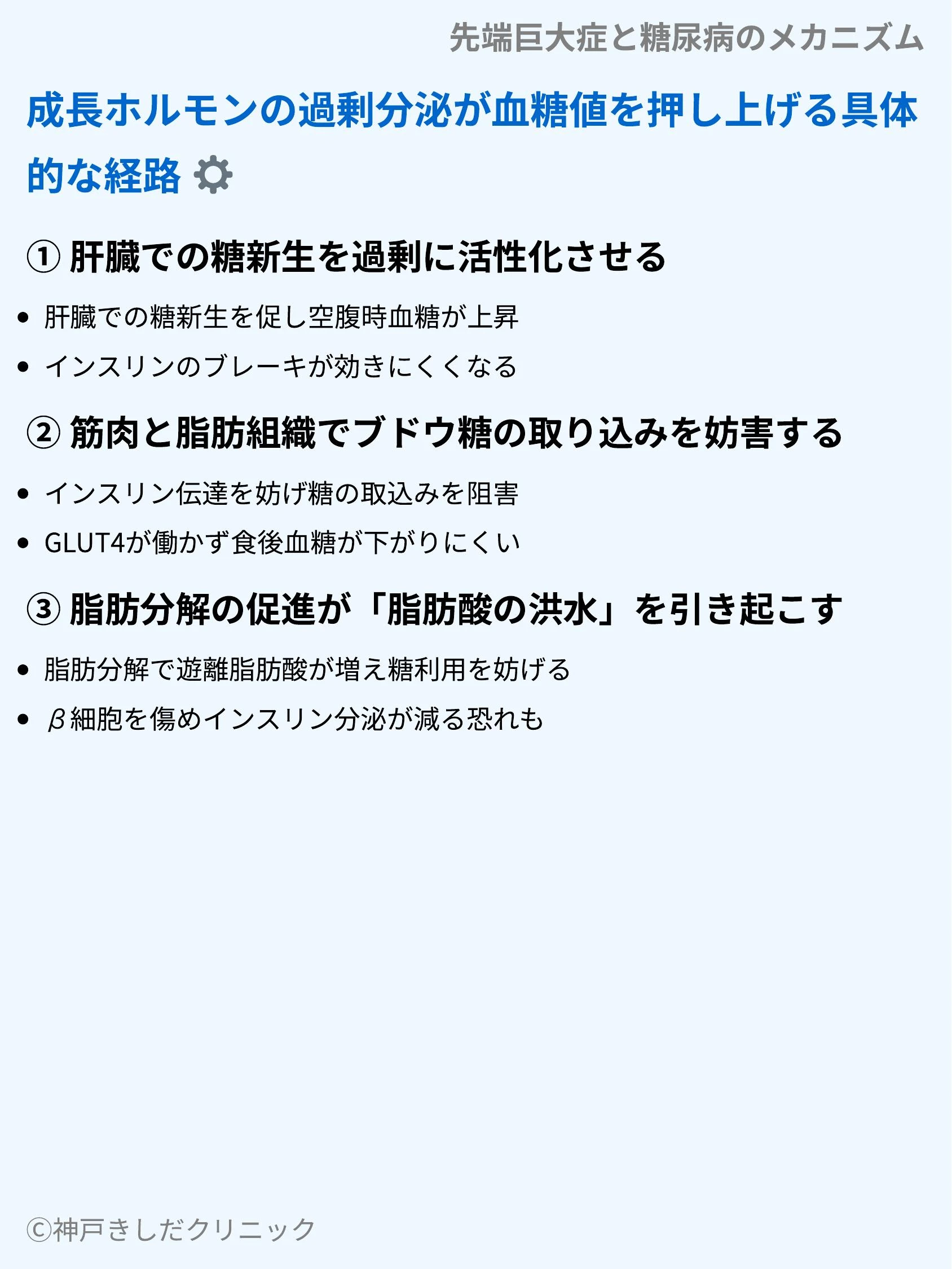 先端巨大症と糖尿病のメカニズム_04.webp
