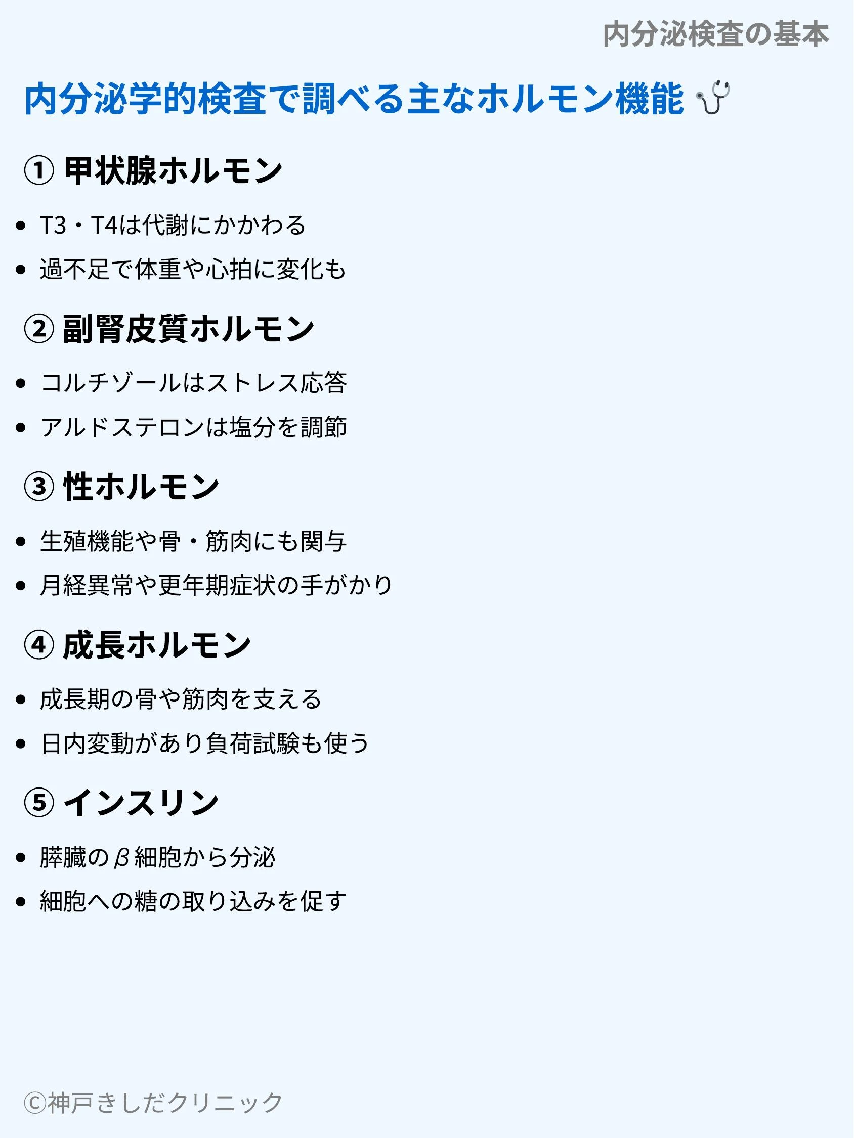 内分泌検査の基本_04.webp