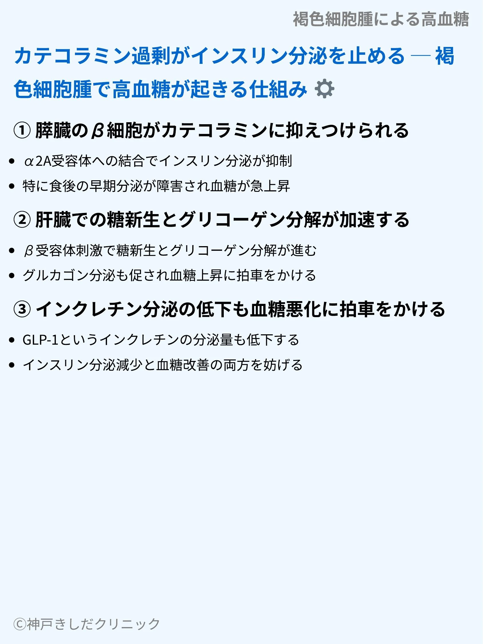 褐色細胞腫による高血糖_04.webp