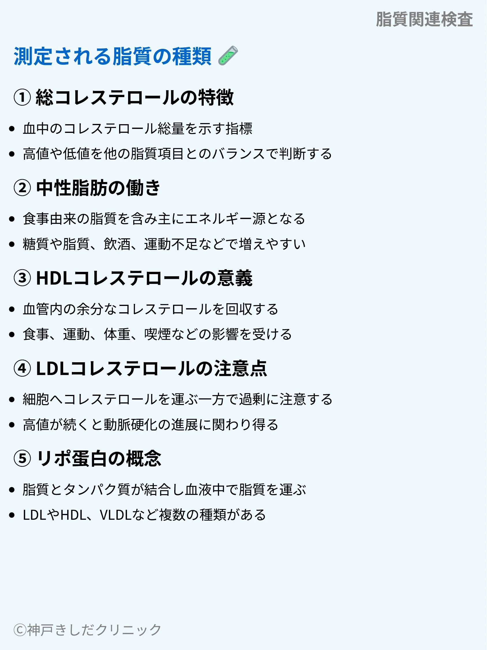 脂質関連検査_04.webp