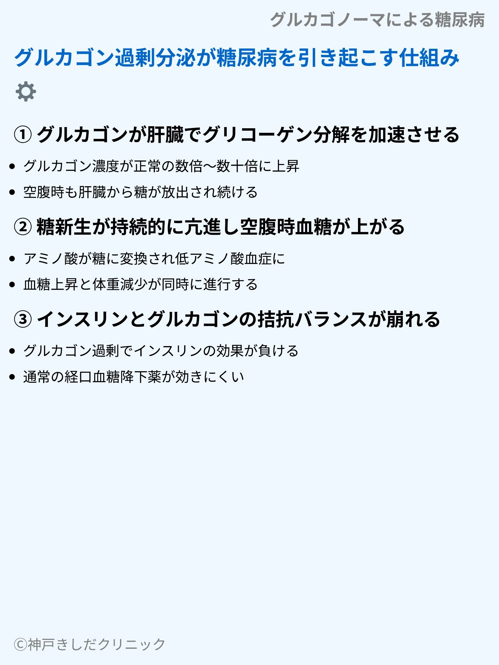 グルカゴノーマによる糖尿病_04.webp