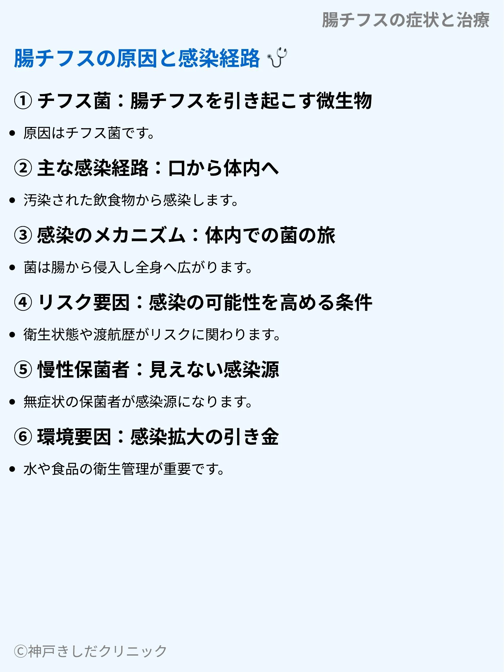 腸チフスの症状と治療_04.webp