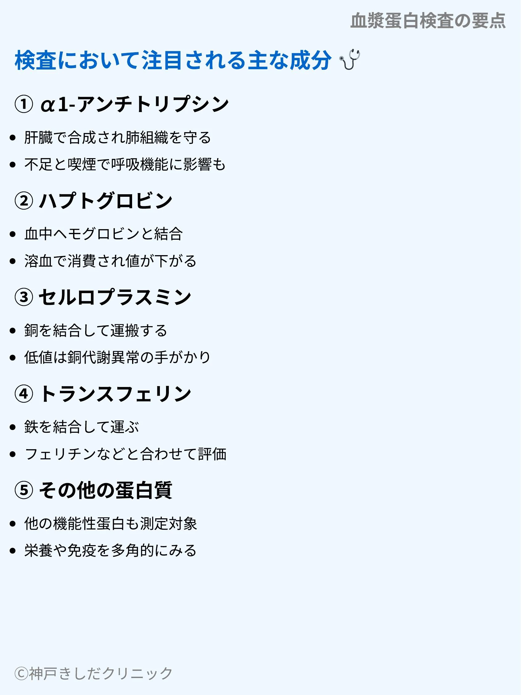 血漿蛋白検査の要点_05.webp