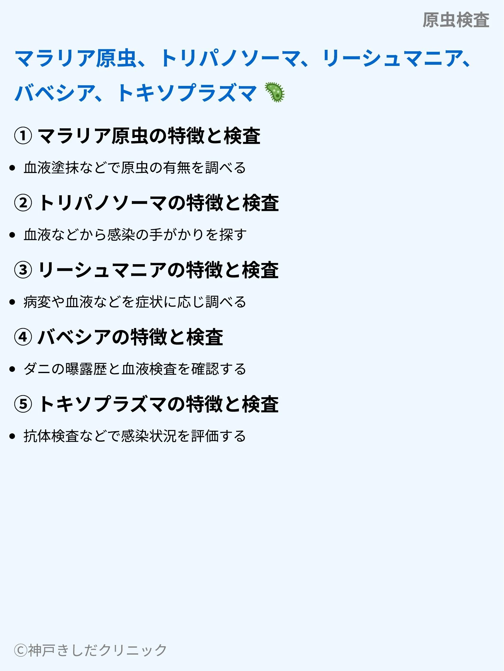 原虫検査_07.webp