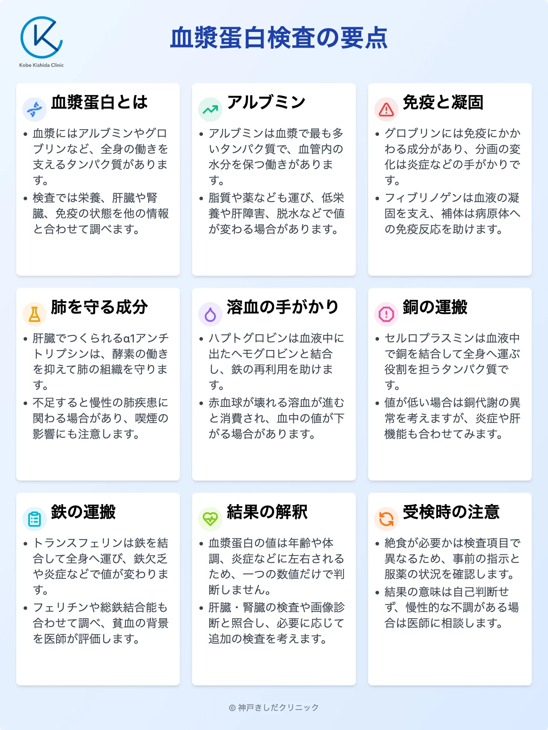 血漿蛋白検査の要点_10.webp