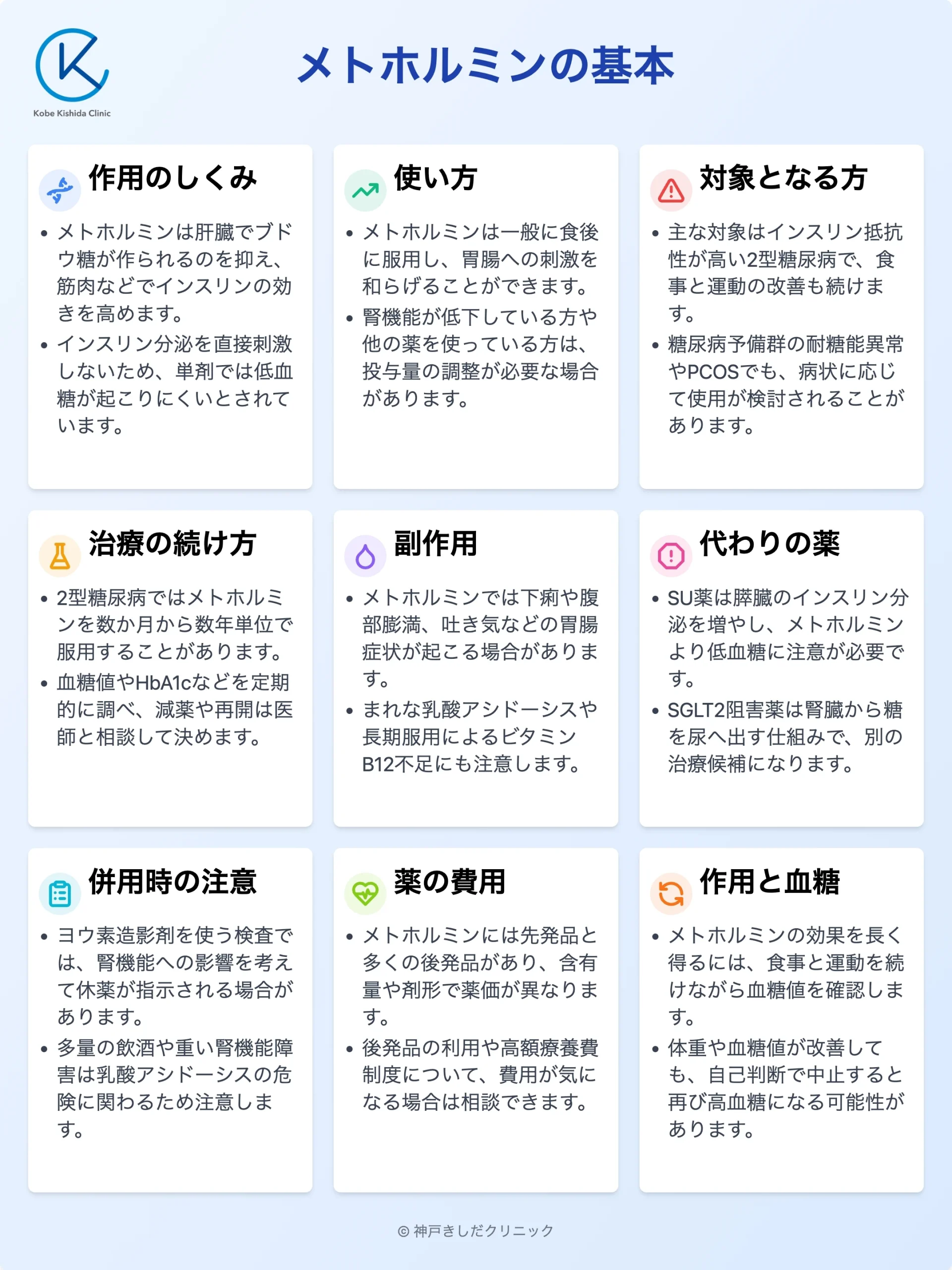 メトホルミンの基本_12.webp