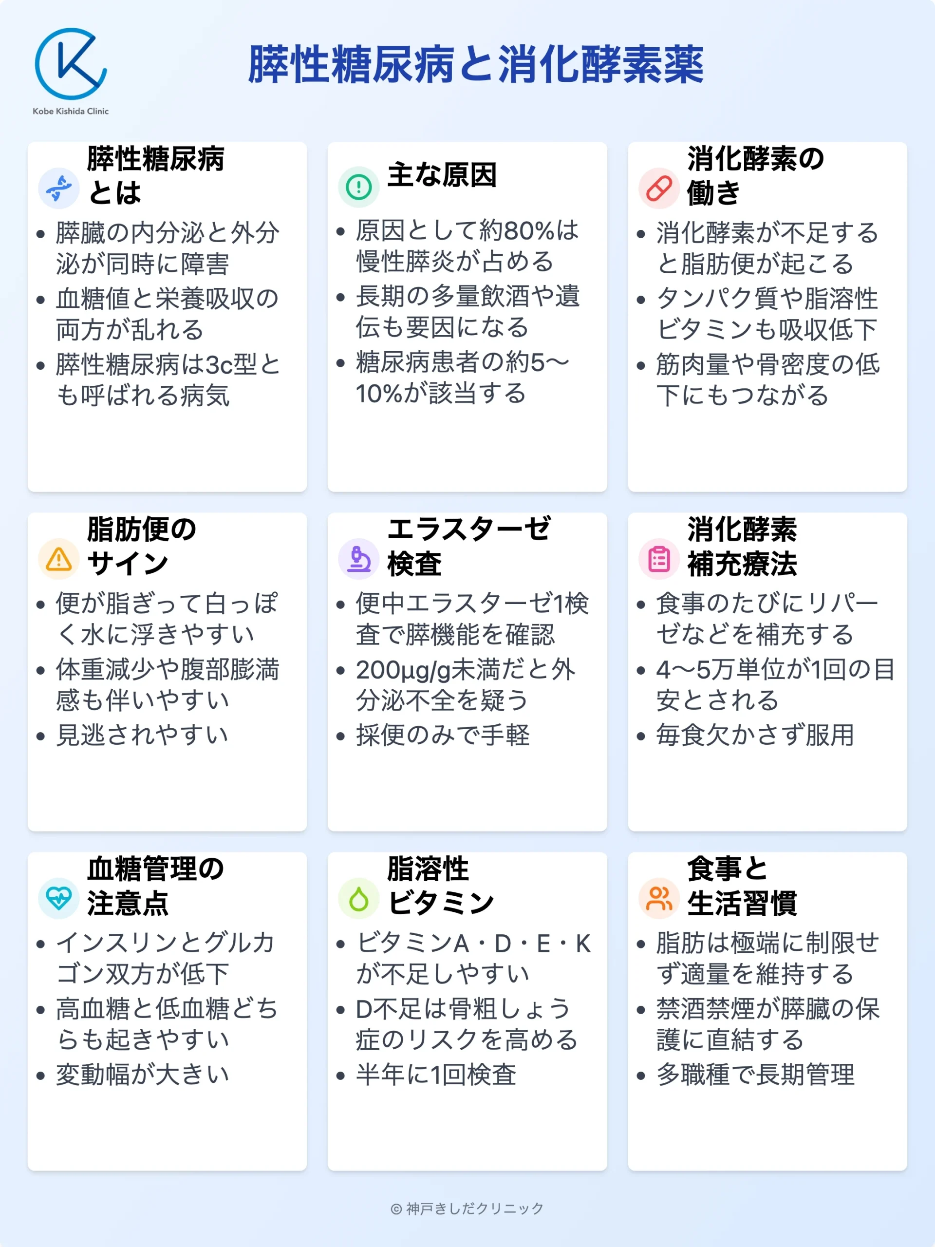 膵性糖尿病と消化酵素薬_12.webp
